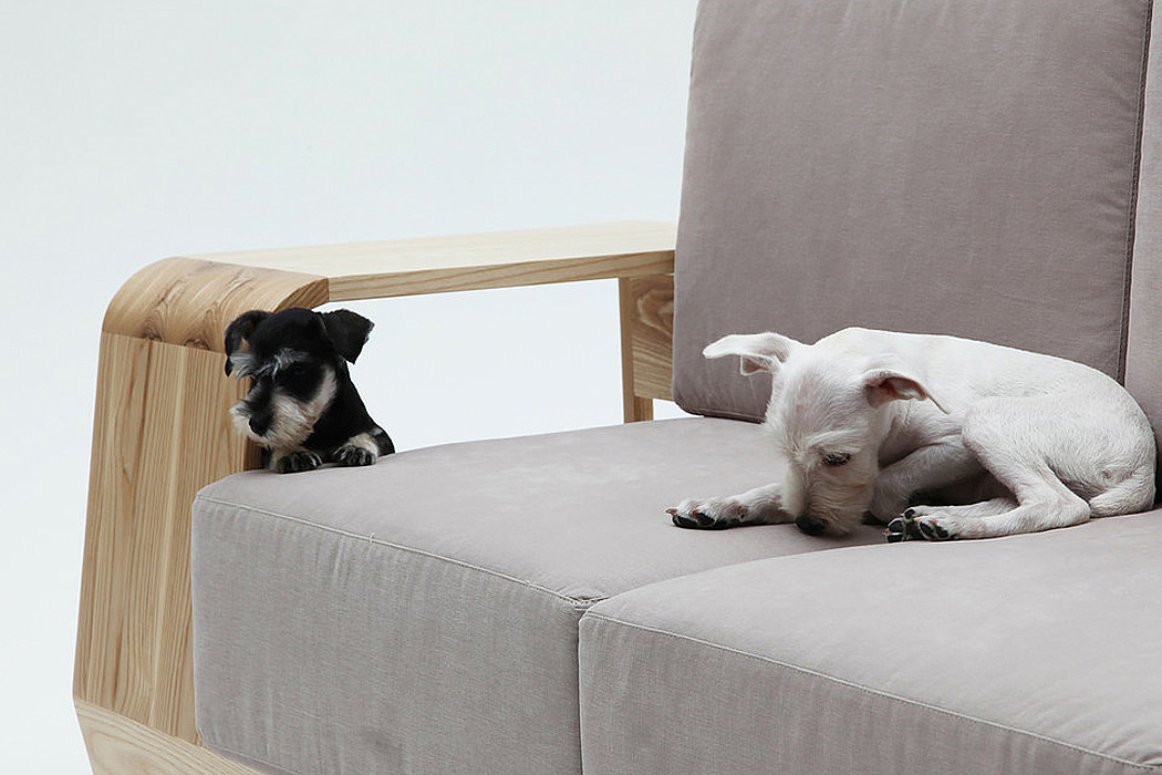 Why Do Dogs Lick the Sofa?缩略图