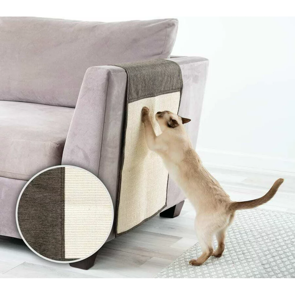 Do cats scratch velvet sofas?插图