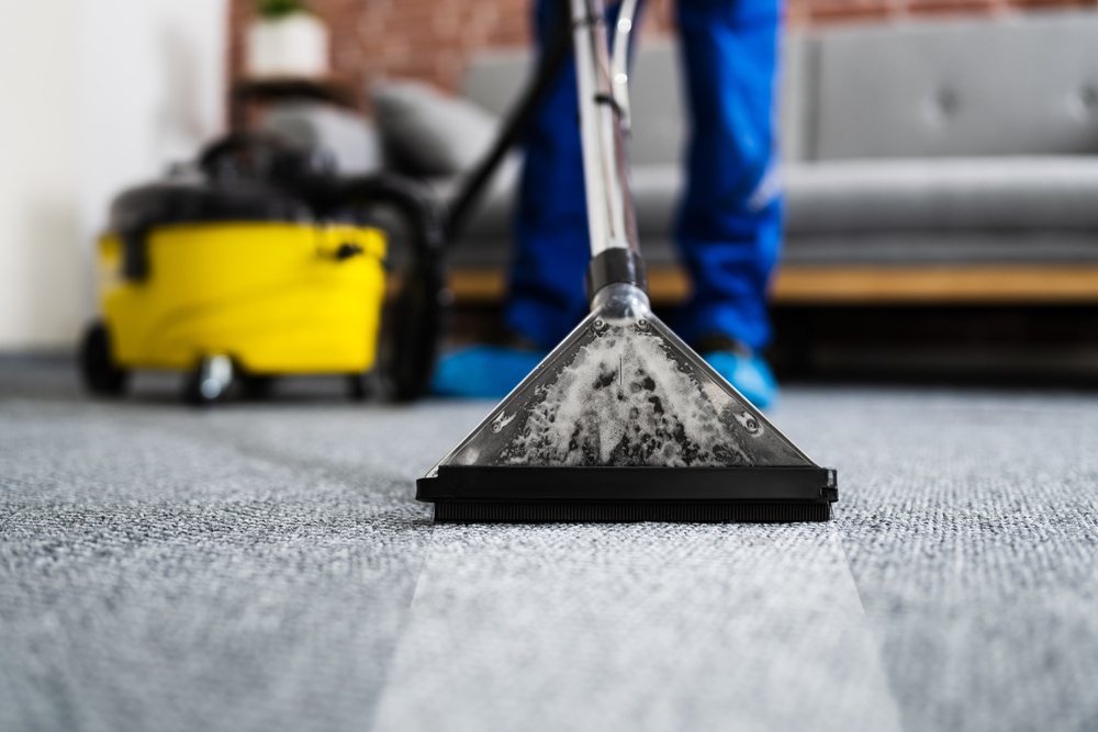 The Ultimate Guide: How Often Should You Clean Your Carpets?缩略图