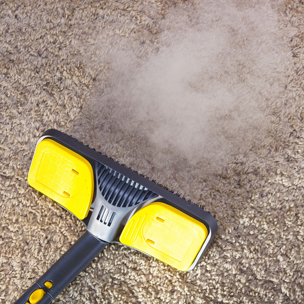 The Ultimate Guide: How Often Should You Clean Your Carpets?插图3