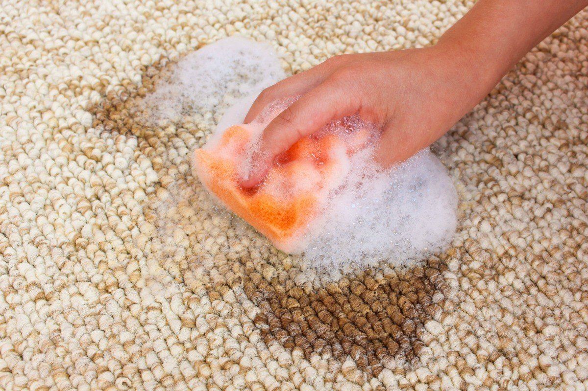 Effective Methods for Removing Oil Stains from Carpets插图3