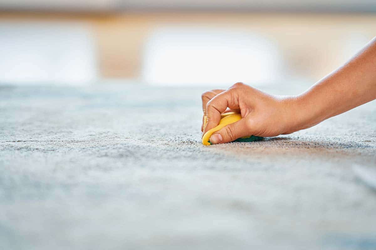 how to remove oil stains from carpets