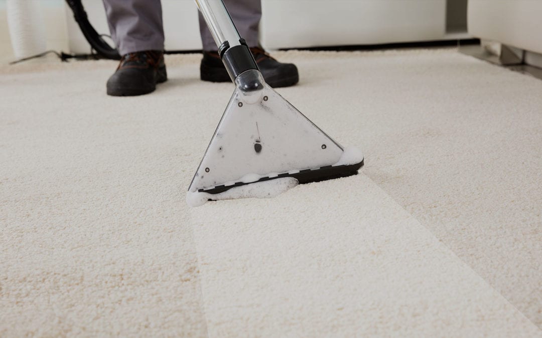 Quick Tips for Speeding Up Carpet Drying After Cleaning缩略图
