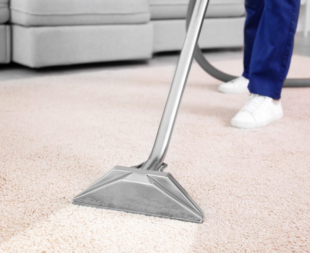 How to Dry Carpets After Cleaning: Quick and Effective Methods插图3
