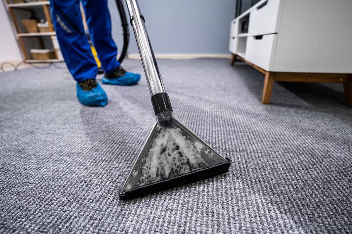 How to Dry Carpets After Cleaning: Quick and Effective Methods插图4