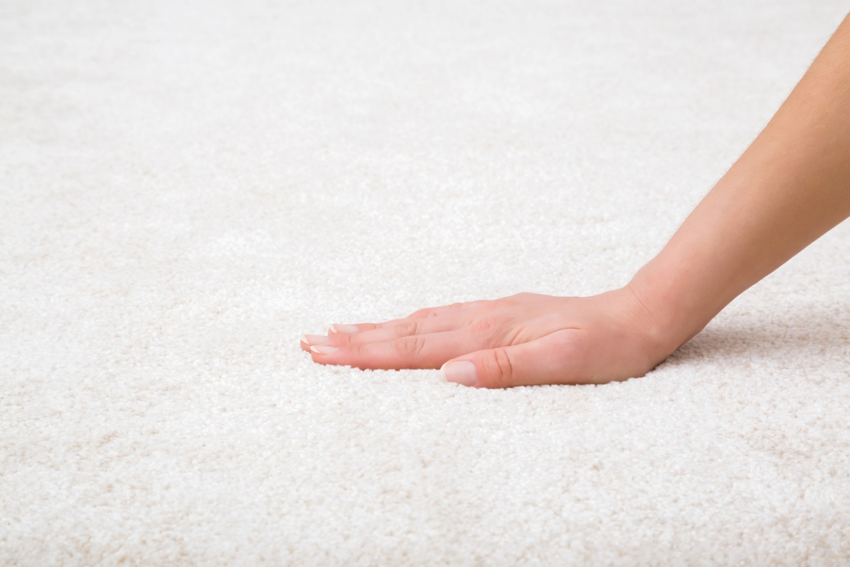 how long do carpets take to dry after shampooing