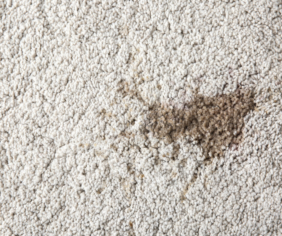 how to remove oil stains from carpets