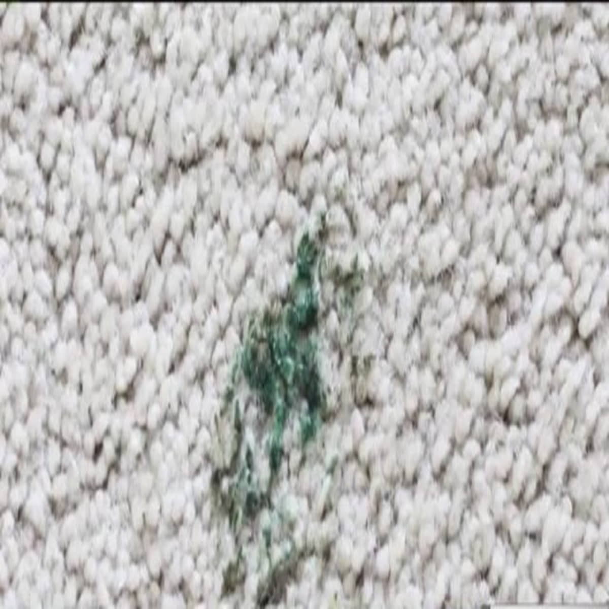 Stain Solutions: Removing Grease from Carpets in Easy Steps插图4