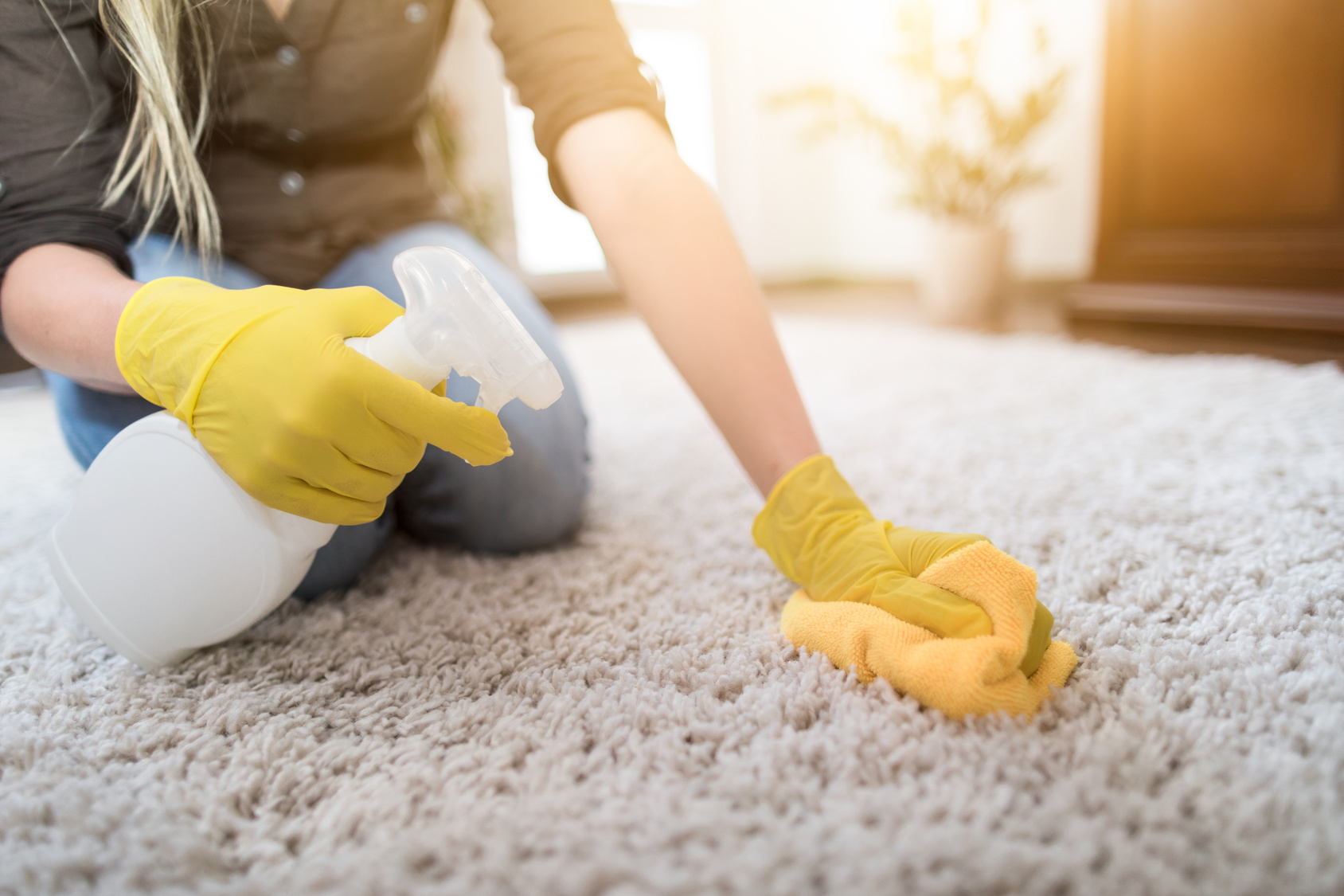how to remove mildew from carpets
