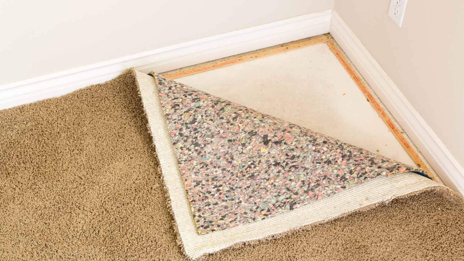 how to remove mildew from carpets