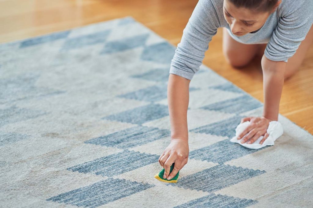 Deep Cleaning 101: Tackling Really Dirty Carpets插图3