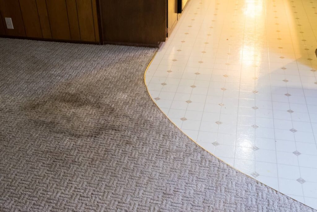 how to get grease stains out of carpets