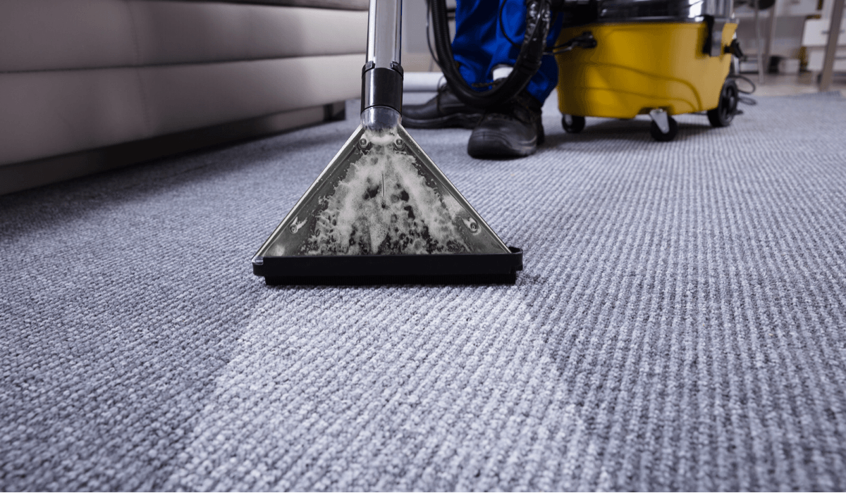 Regular Maintenance: How Often to Steam Clean Carpets插图3