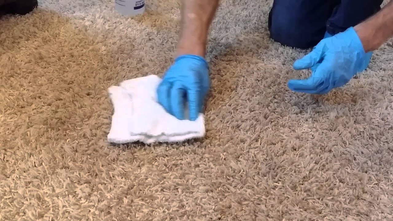 Stain Solutions: Removing Grease from Carpets in Easy Steps缩略图